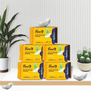 Femi9 Ultra-Thin Pads (280mm-L) | (12 Pads/Pack) ( 5 Combo Pack - 60 Pads )