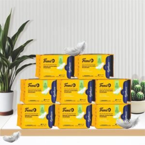 Femi9 Ultra-Thin Pads (280mm-L) | (12 Pads/Pack) ( 8 Combo Pack - 96 Pads )